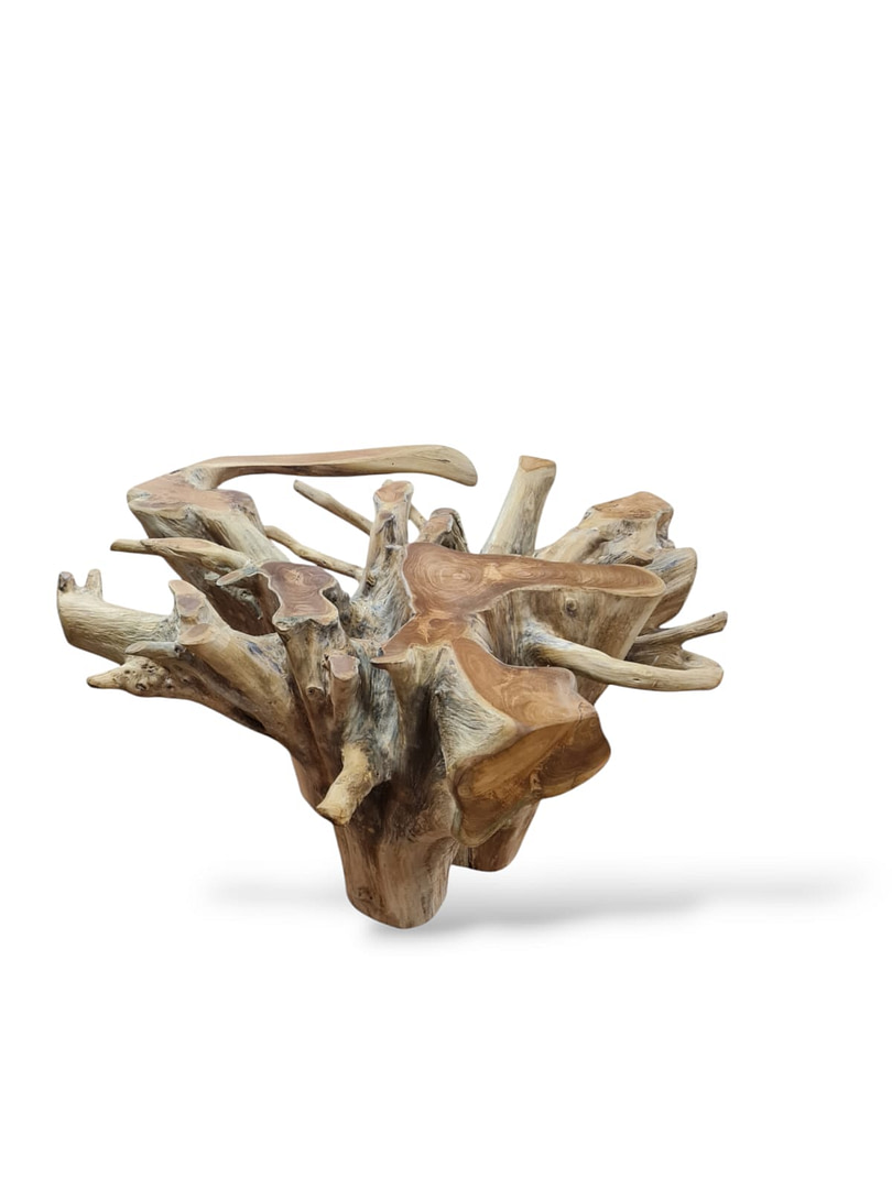 WhatsApp Image 2025-01-24 at 13.18.41 (1)