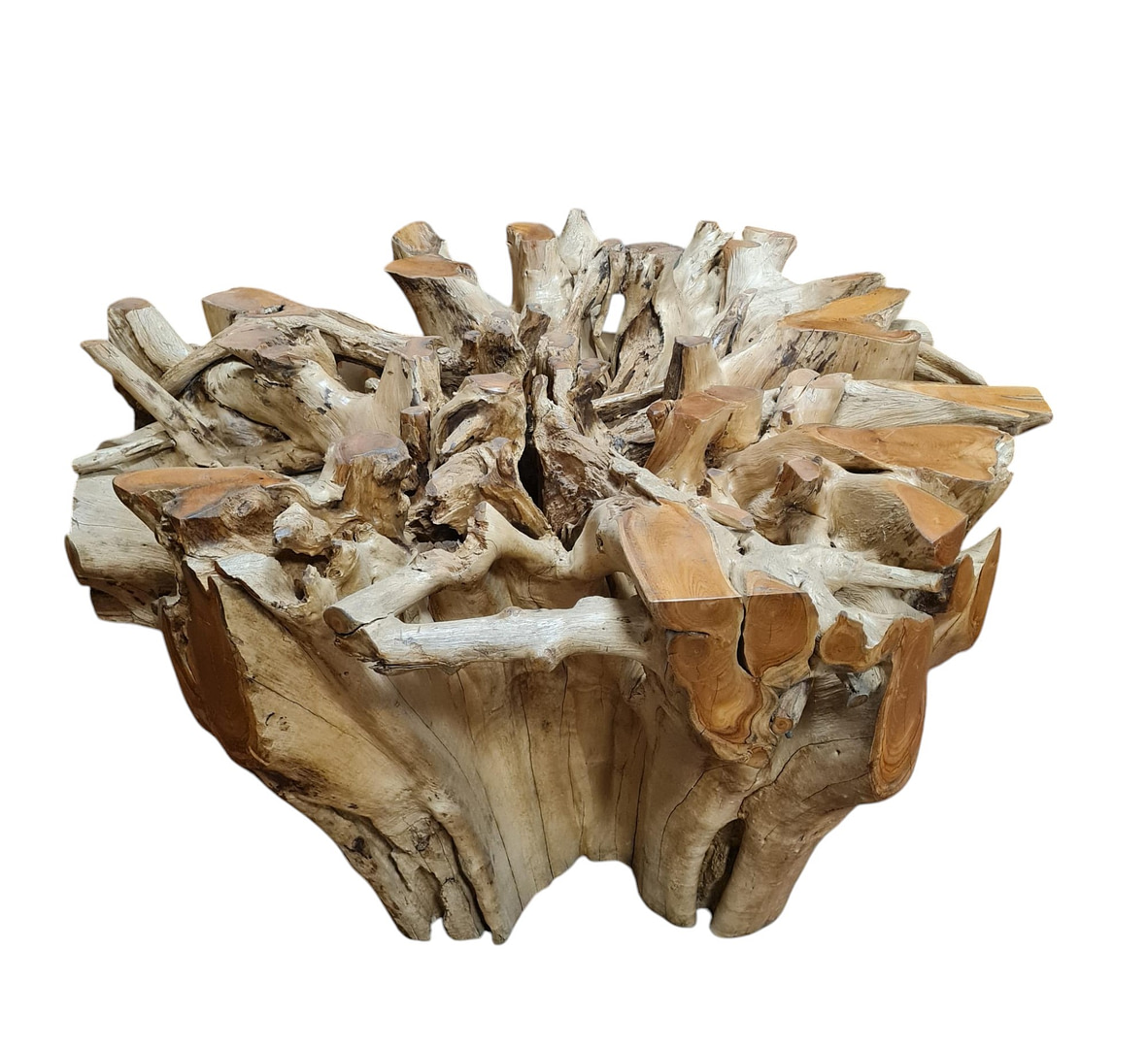 WhatsApp Image 2025-01-27 at 15.19-Photoroom